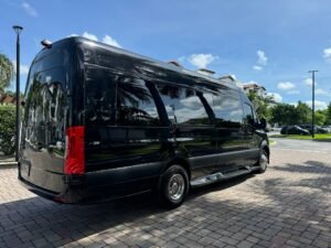 Limo VIP service