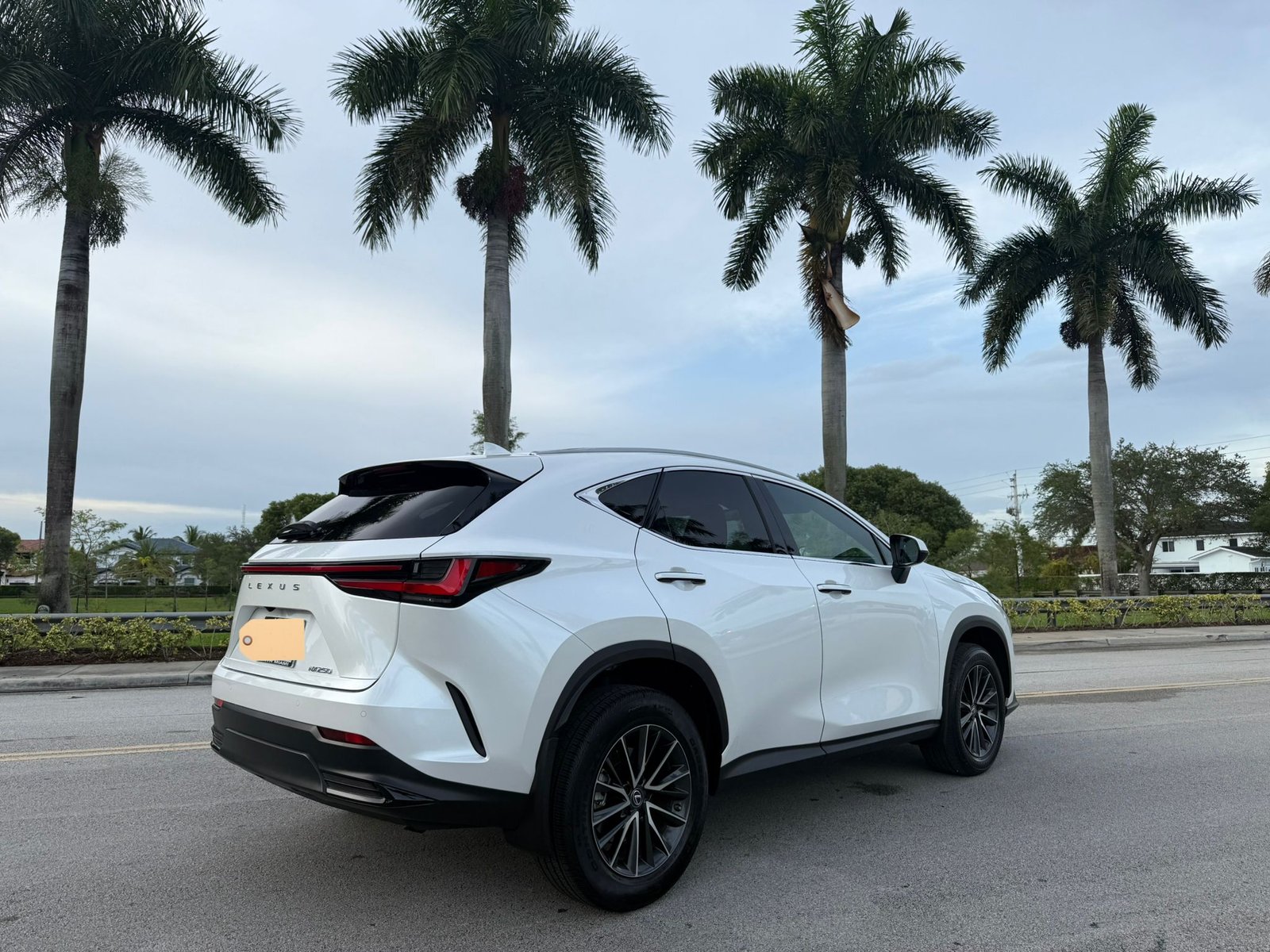 WhatsApp Image 2025-10-05 at 18.30.43_99161433