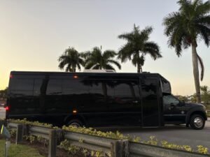 Limo VIP service